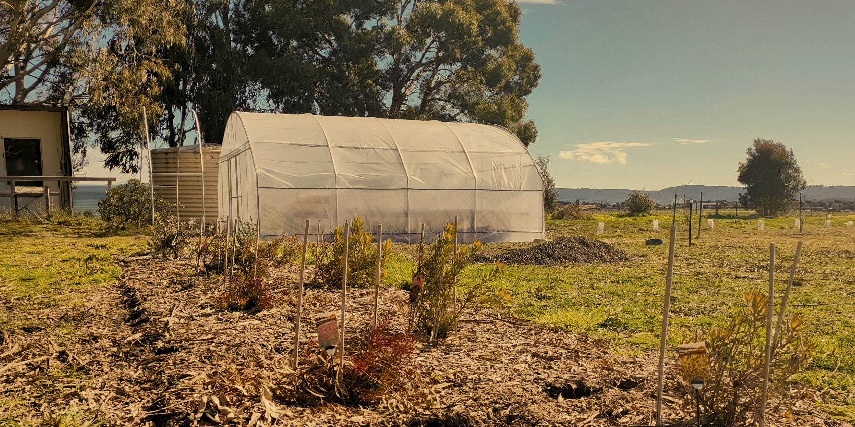 Greenhouse in a rural setting with trees and open field
