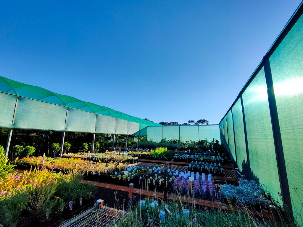 Block Shade Cloth – Protect Your Garden from the Sun