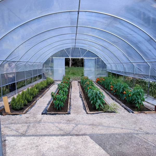 Polytunel Kit Polytunnel Greenhouse Kits Australia | Tunnel Houses for Crop Protection