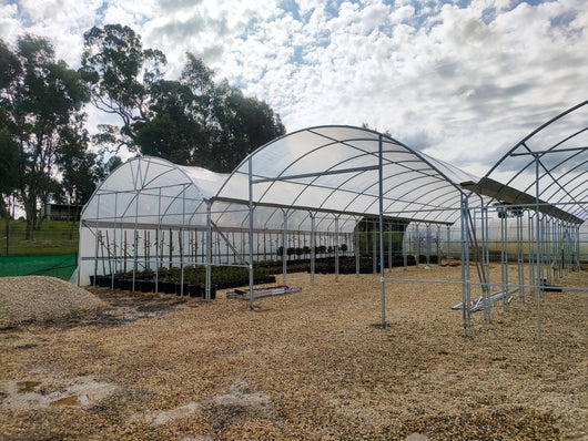 Multi-span Shade House