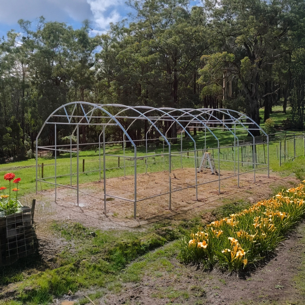 polytunnel near flowers surrounded by trees 