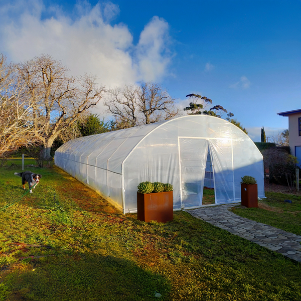 greenhouse with an opening infront with two pot plants outside with a dog on the  side
