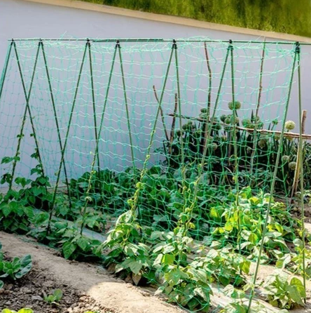 Vegetable Support Net - Green HDPE Climbing Plant Trellis