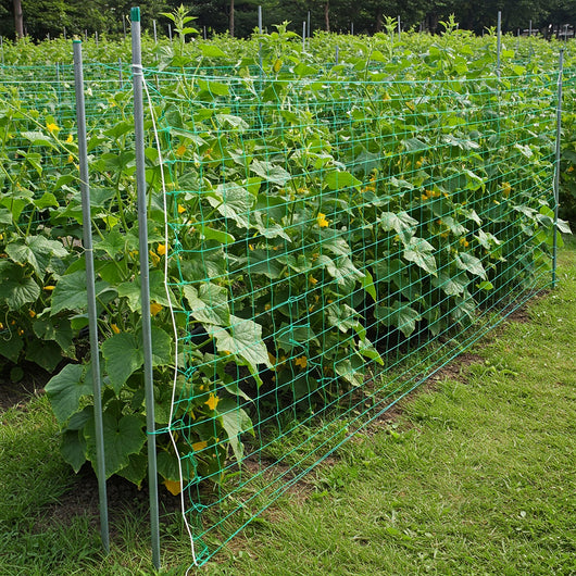 Vegetable Support Net - Green HDPE Climbing Plant Trellis