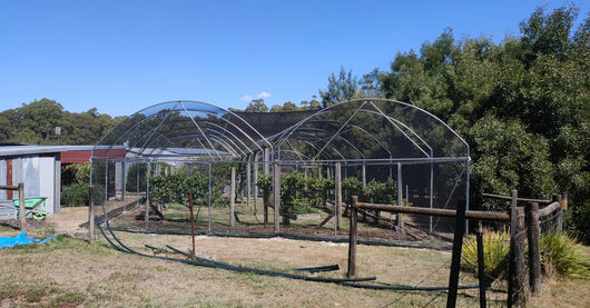 Multi-span Net House - Product