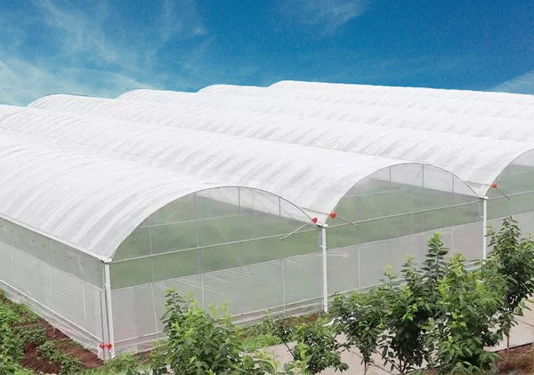 Multi-span Shade House