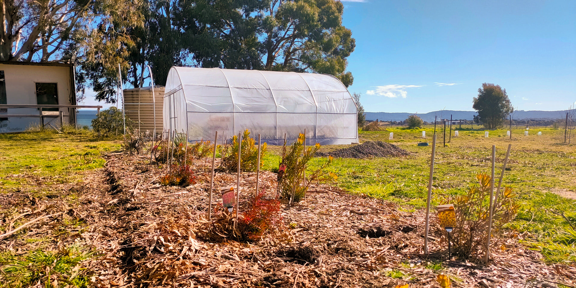 Sale & Clearance | Greenhouse & Polytunnels Australia | Tagged