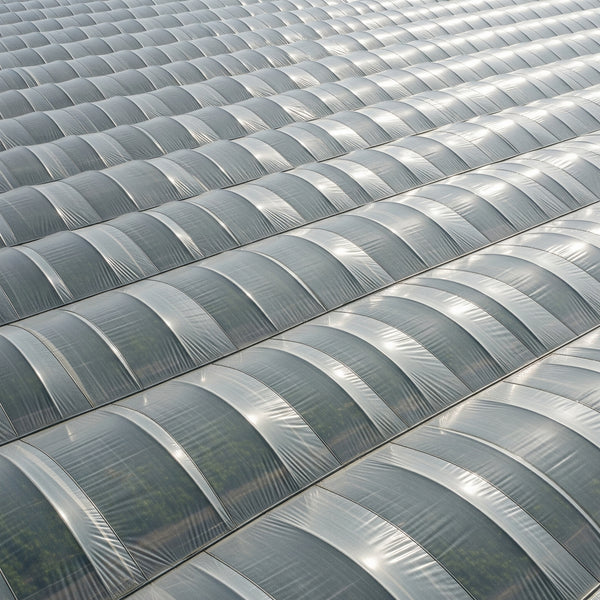 Greenhouse Film Plastic - 250 Microns - Product