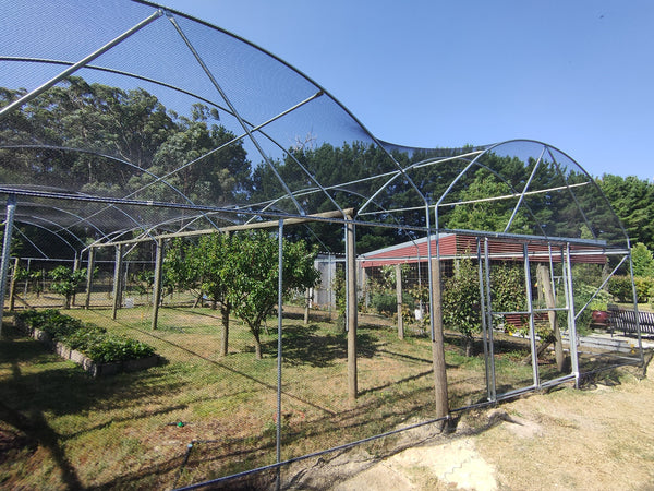 Large greenhouse structure with netting roof and walls, surrounded by trees and garden beds.
